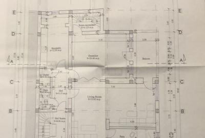 Cotroceni Arenele BNR Mihail Mirinescu Vila pentru birou sau rezidenta - 5