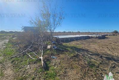 SUPER-PRET Teren 5000mp langa case in Sabareni - 3