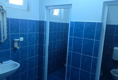 Inchiriez spatiu comercial in Deva, zona Avram Iancu (fostul Punct Termic), - 10