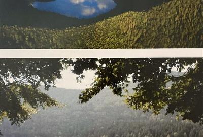 Vila la rosu - 15 camere, 700mp Baile Tusnad, Harghita - 6