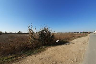 Birouri, hala si teren situate la sosea, zona Magurele, sector 5 - 34