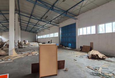 Hale industriale - 4