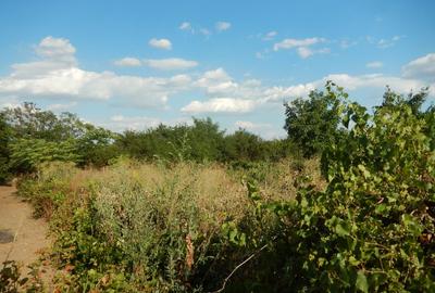 Calugareni-Branistari- casa 4 camere, teren 1965 mp, curent, put, libera,69900 € - 28