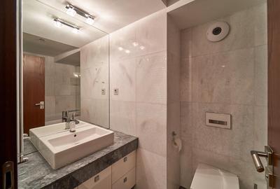 Penthouse for rent- 4 bedrooms- Fabrica de Glucoza - 20