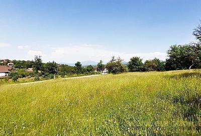 Teren superb in Bran la 5 min de Castel, 37 euro/mp. - 5