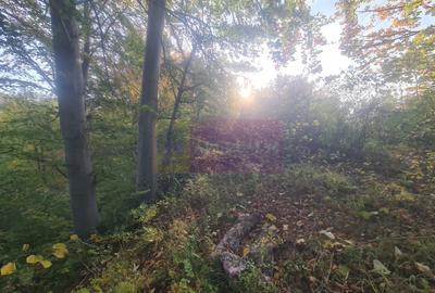 Teren intravilan de vanzare in Telega - 1