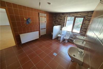 Vilă Spațioasă D+P+1 zona Terezian optima locuinta / sediu firma - 21
