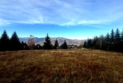 Vanzare 5,3 ha pasune deasupra Voronetului Suceava - Proiect Turistic - 1