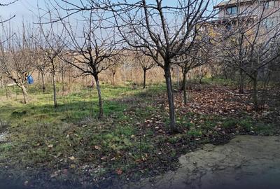 Teren intravilan 345 mp Vidra, deschidere 12 m, ideal pentru - 3