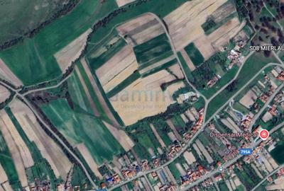 Teren agricol extravilan de 3900 mp, în Mierlău