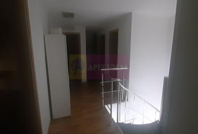 Spatiu Comercial Stradal Șoseaua Colentina zona Teiul Doamnei Suveica - 41