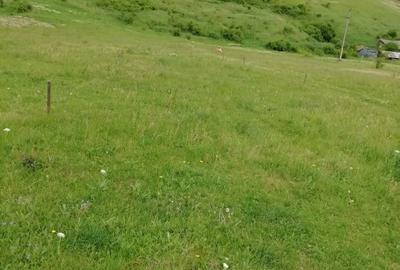 Teren intravilan Piatra Neamt - 1