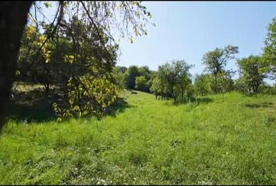 Teren intravilan + extravilan 10.537 mp – casa, livada sau ferma de familie - 6