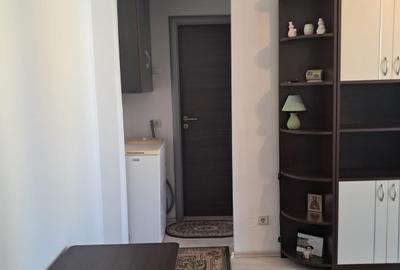 Apartament 2 camere in Vasile Aaron - 6