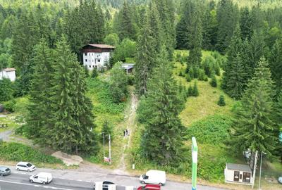 Teren Intravilan Predeal - Acces direct DN - Priveliste deosebita - 23