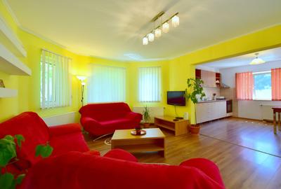Casa individuala - plan parter - de inchiriat zona Dumbravita-Lidl - 3