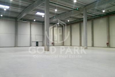 Depozit/Hala-In Park Industrial- Zona Someseni-2900 mp - 3