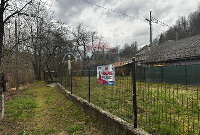 Viseul de Sus- CASA , priveliste, liniste , - 12