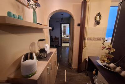Drumul Taberei - Raul Doamnei - Apartament 2 camere -  Modern - 11