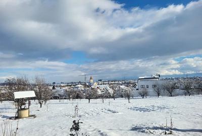 Teren intravilan zona rezidentiala 2121 mp- Turnisor - 3
