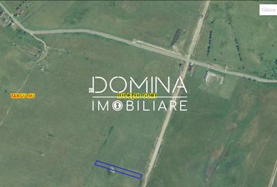 Vânzare teren extravilan situat în Târgu Jiu, strada Ciocârlău - 2