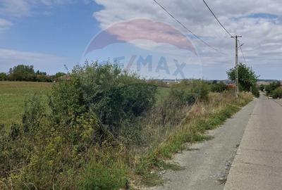Teren intravilan industrial de vânzare - 9505 mp - Tileagd - 2