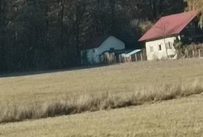 Teren agricol extravilan de 4000 mp, în Dragomirna