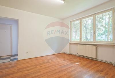 SPATIU COMERCIAL DE INCHIRIAT | CENTRUL ISTORIC | PIATA TEATRULUI - 10