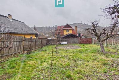 Vilă stil montan, 270 mp, teren 3000 mp - 4