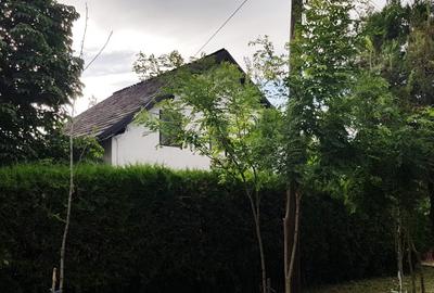 Vanzare 3 case moderne + 3 anexe si 2000 mp teren gradina, pomi in Tuzla la mare - 22