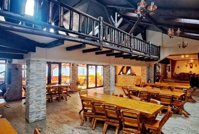 Pensiune deosebita, locuri de cazare, restaurant, pizzerie si spatii comerciale - 10