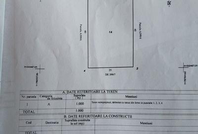 PALAZU MARE TEREN INTRAVILAN 1000 MP DESCHIDERE 25 ML PRET 120.000 EURO