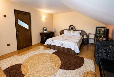 Casa P+1 mobilata si utilata/650 mp teren/Garaj+beci/Valul lui Traian - 8