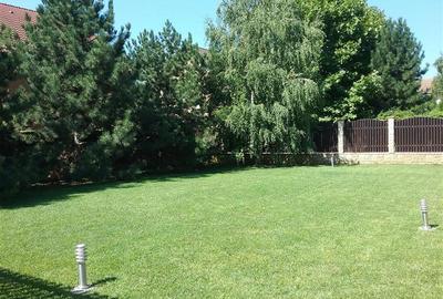 IANCU NICOLAE, S+P+1, 6 CAMERE, 410 MP, PISCINA, CURTE SUPERBA! - 30