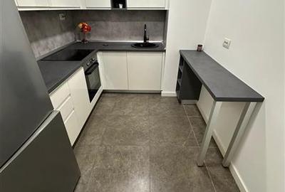 Inchiriere apartament Aviatiei, One Herastrau Plaza, zona exclusivista - 3