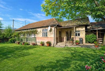 FILM! Casa si anexe, pe domeniu de 6.221mp,  livada pomi fructiferi, Lemnia, Cov - 2