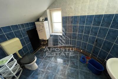 Spatiu comercial de inchiriat, 2 camere, Zona Maria Timisoara - 3