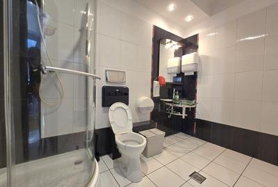 Duplex 6 camere Herastrau - 12