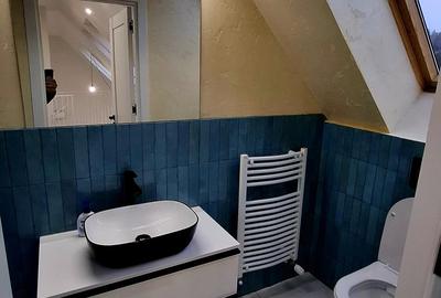 Imobilstar vinde penthouse finisat cu chirias - zona Papiu - 12