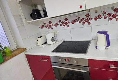 Cazare muncitori, Vila 390 mp, cu piscină, 22 locuri de cazare, P+1+M, parcare, - 12