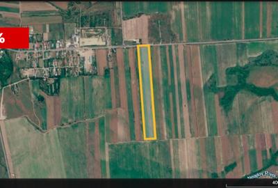Teren agricol 12.500 mp | Deschidere directă DN61 | Dublu acces | Corbii Mari - 4
