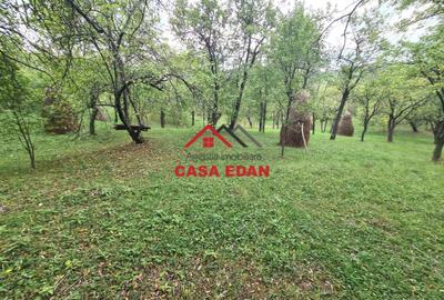 Teren intravilan in Sotrile--5991mp--10e - 1