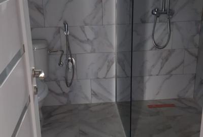 Casa noua pe parter la Bucovina-Curtesti - 9