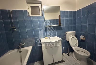 Apartament 2 camere de inchiriat, zona Piata Crucii/Soarelui Timisoara - 11