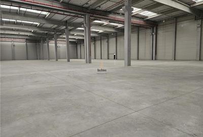 Spatiu Industrial - 2500 mp - Logistica - Depozitare - Distributie - 1