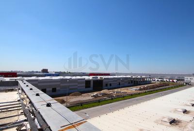REC3000085 Birouri si hala in parc industrial - zona vest - 4
