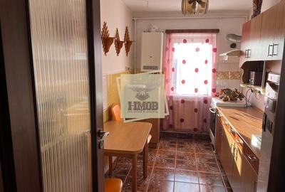 Apartament cu 3 camere decomandat cu balcon in Vasile Aaron - 6