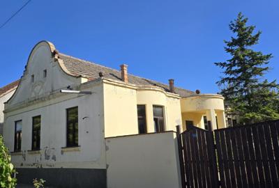 Cenad-Ultracentral-2 fronturi- Casa cu ahitectura deosebita - 19
