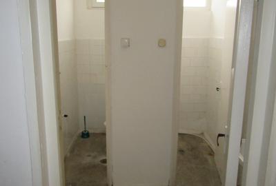 Inchiriere spatiu comercial Teiul Doamnei - 23