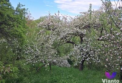 Casă în Poiana Sibiului | 909 mp teren | livadă și anexe gospodărești - 9